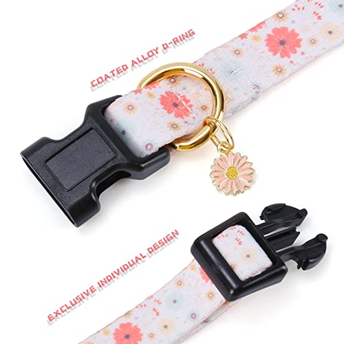 White Peach Dog Collar with Pendant (Small) H2361