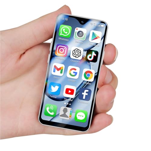 2+16GB Metallic Gray Mini 4G Smartphone I939594