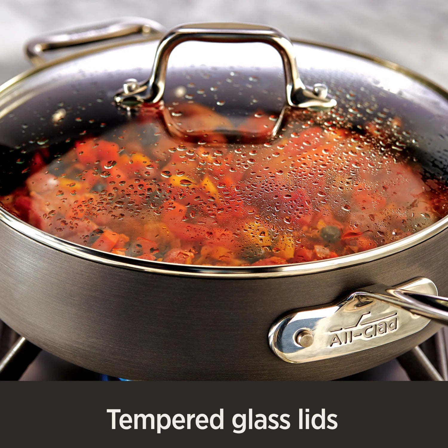 2 Piece Nonstick Hard Anodized Fry Pan Set, 10 & 12 inch E83110