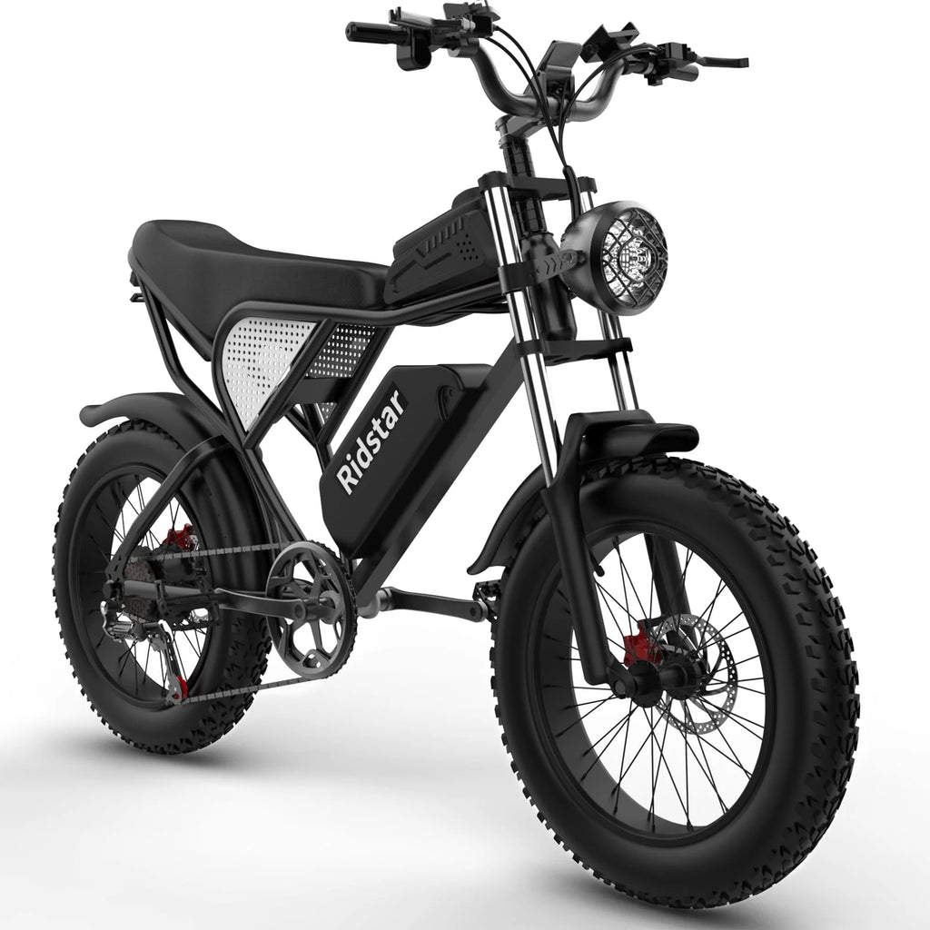 20 Fat Tire 1000W Electric Bike with 48V/20Ah Battery Z613