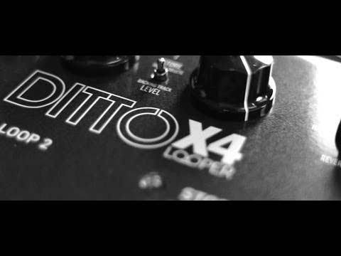 Ditto X4 Looper Pedal L3374
