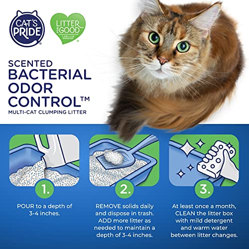 Unscented Multi-Cat Litter, 15 Pounds (Pack of 2) G327553