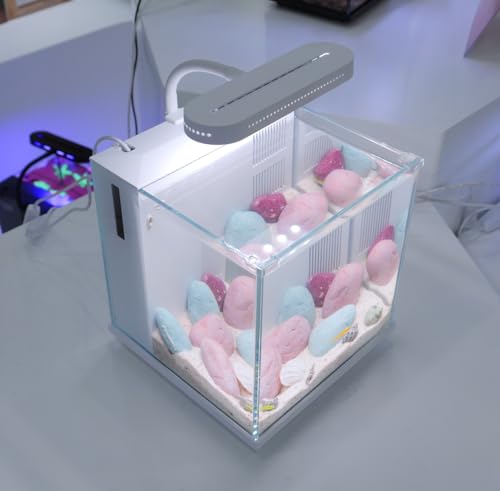 2 Gallon Small Glass Desktop Fish Tank with LED Light and Water Pump Filter M83446