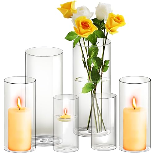 Clear Glass Cylinder Vases Set of 6 I574