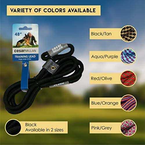 Slip Lead Leash 2-in-1 Dog Training Lead & Collar U159