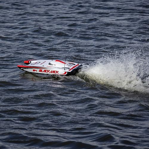 Blackjack 24" Catamaran Brushless RTR J7666