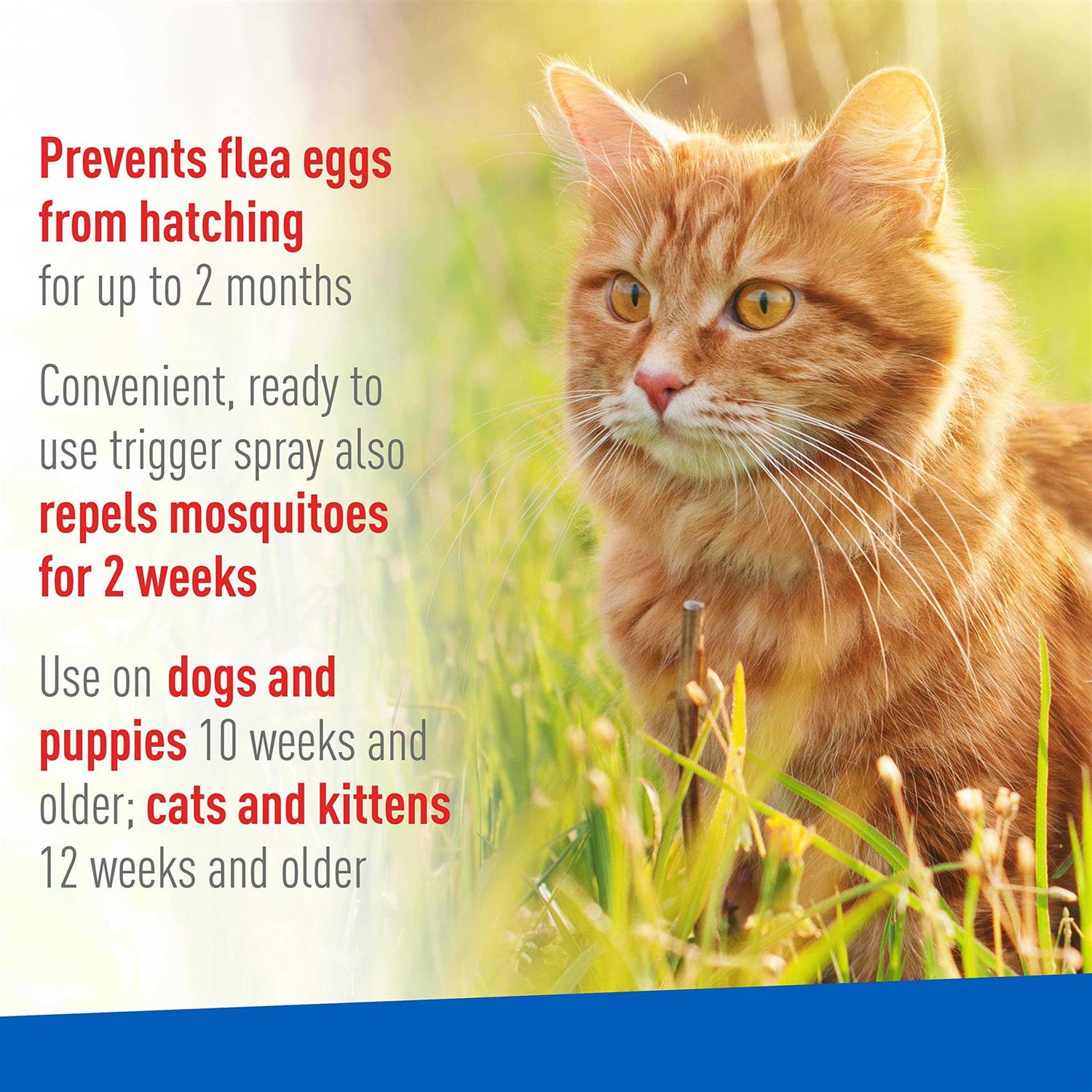 Flea Tick Spray U7412