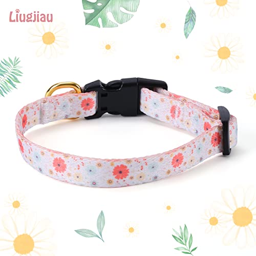 White Peach Dog Collar with Pendant (Small) H2361