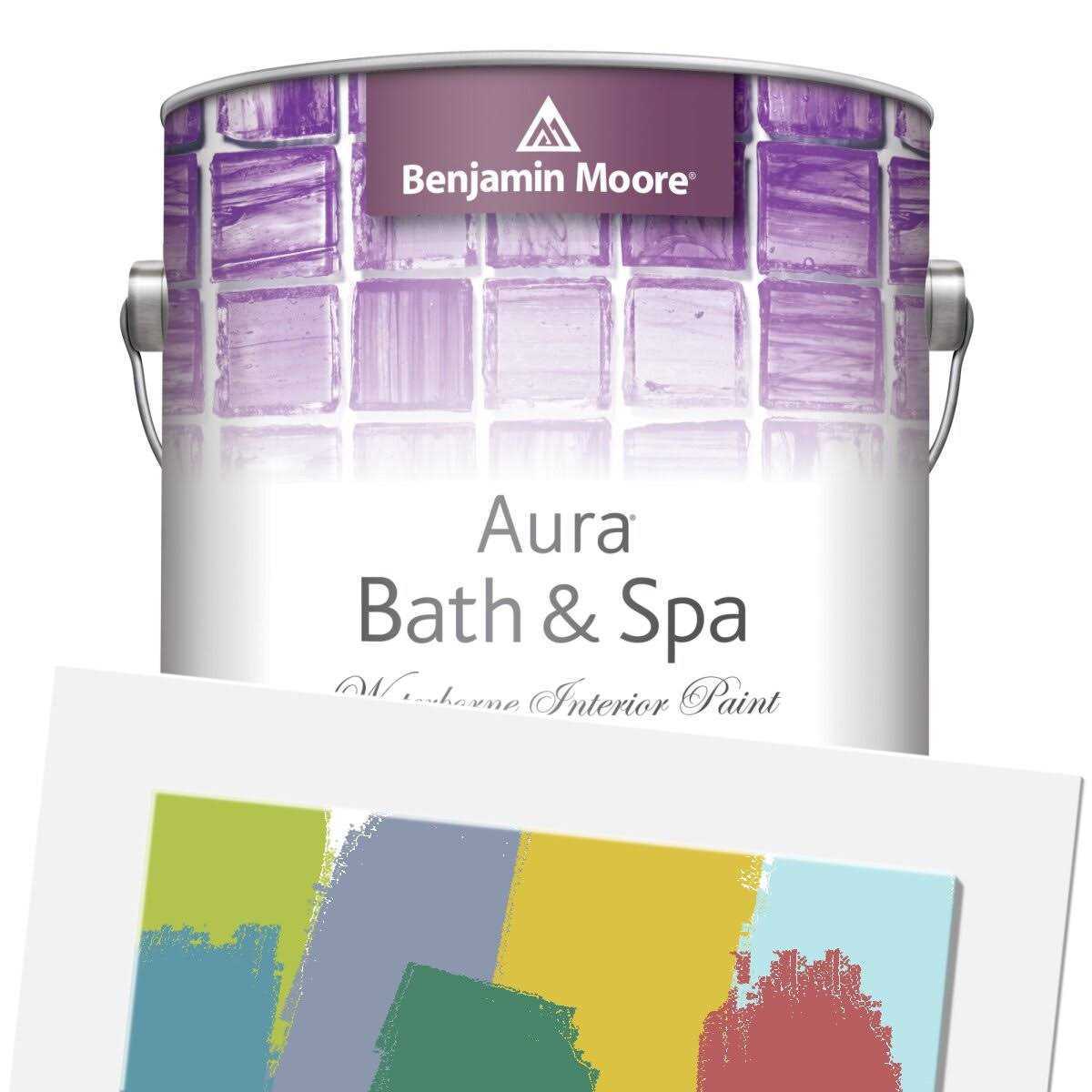 Aura Base Paint and Interior 1 B824315