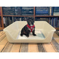 Indoor Dog Potty Tray M963466