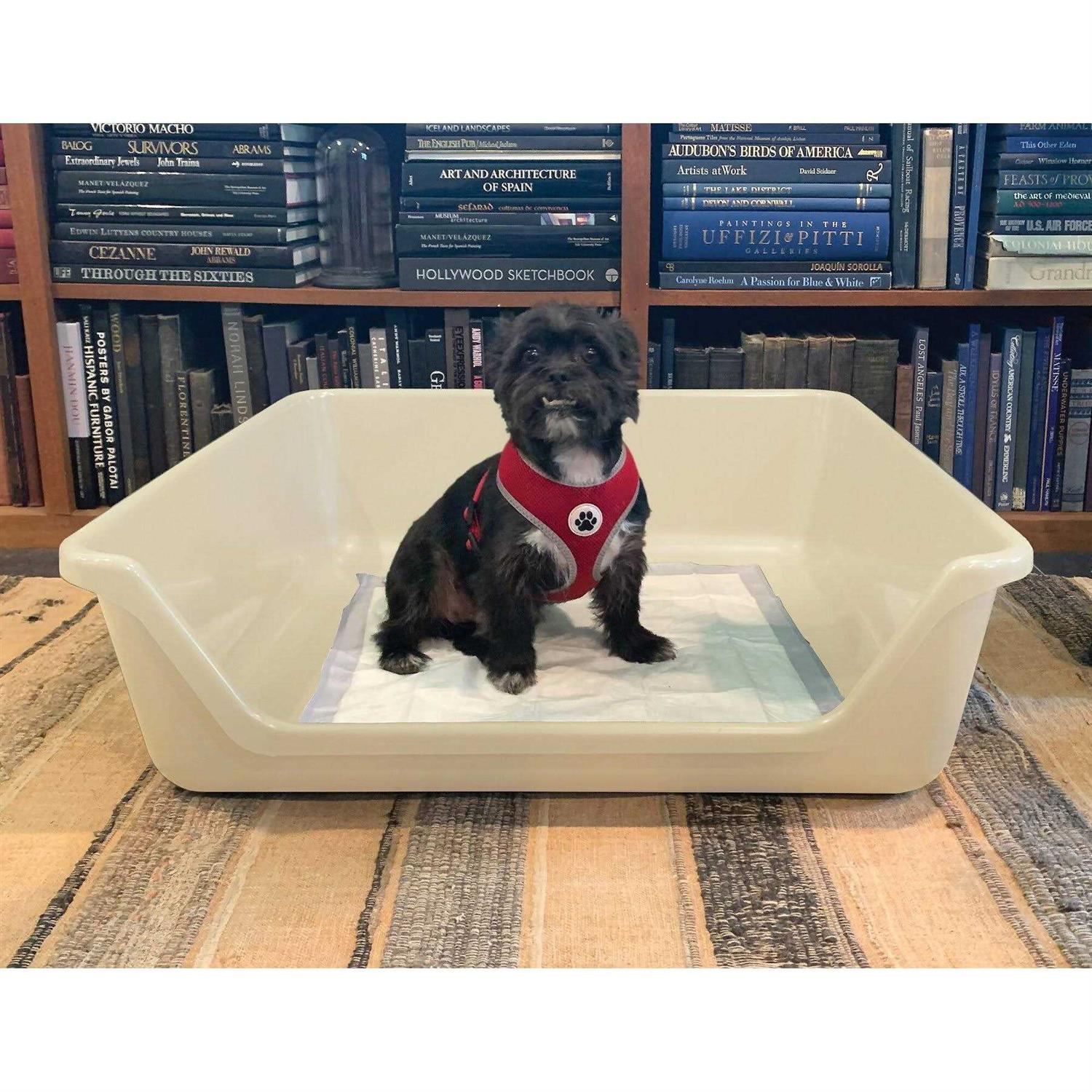 Indoor Dog Potty Tray M963466