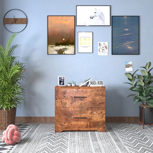 2 Drawer Wood Lateral File Cabinet H4974