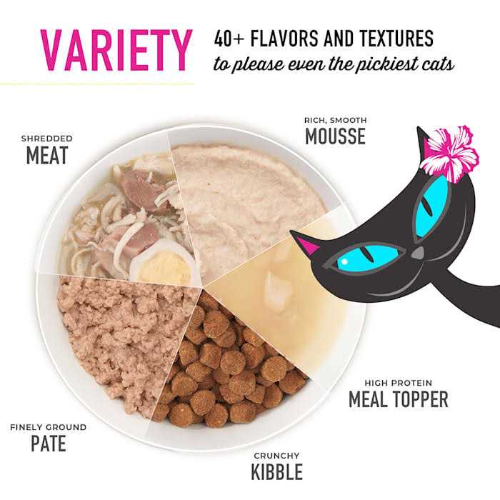 Tiki Cat Velvet Mousse Senior Salmon Wet Food X7908