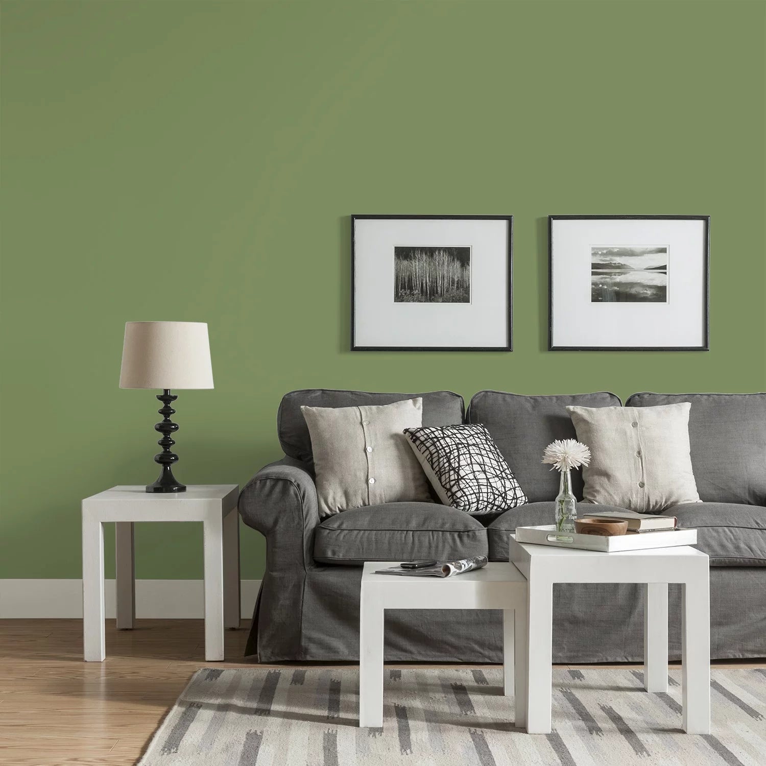 Moss Point Green Eggshell Interior Paint and Primer, 1 Gallon B705