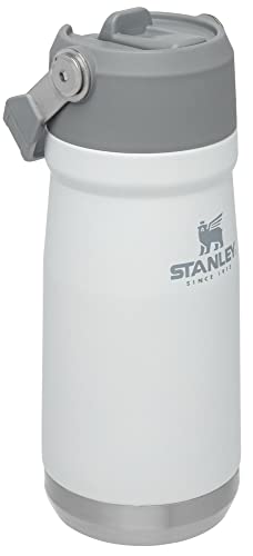 16-50 OZ Insulated Stainless Steel Water Bottle with Built-In Straw X380849