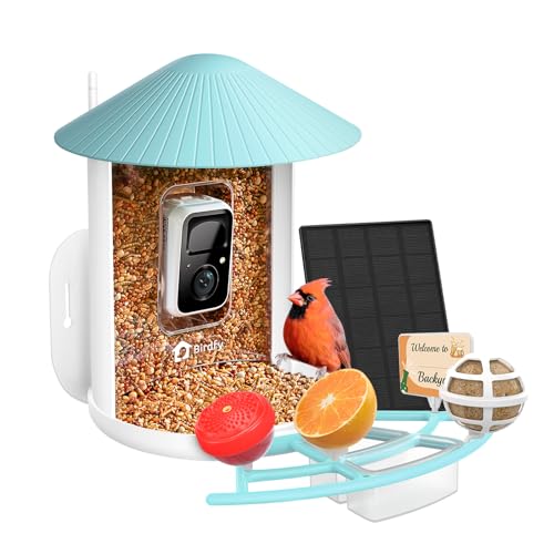 Bird Feeder with Camera Y645882