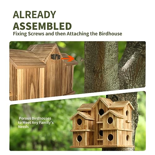 10 Hole Large Bird House J8472