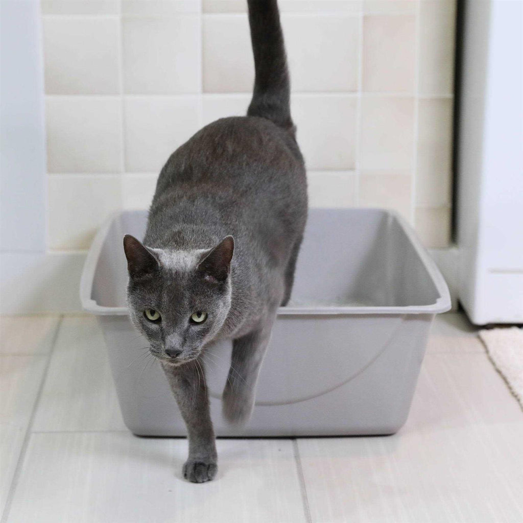 Litter Pan O121134