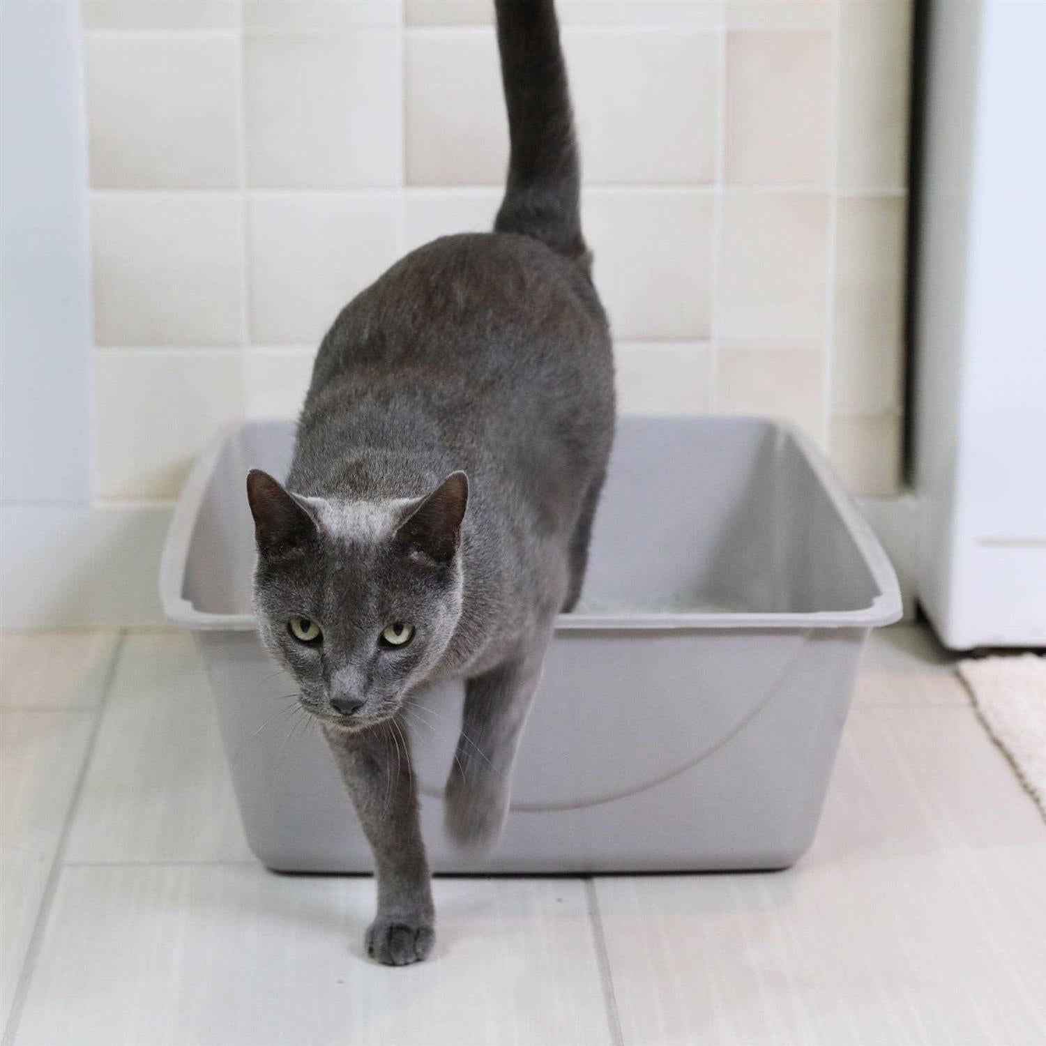 Litter Pan O121134