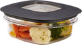 1.25 Cup Gray Food Storage Containers R189333