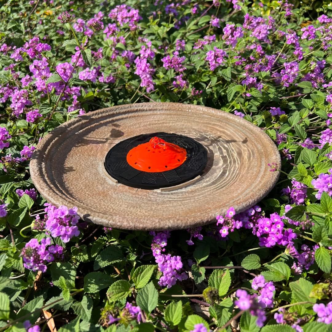 Red Dome Bird Bath Fountain Q389046