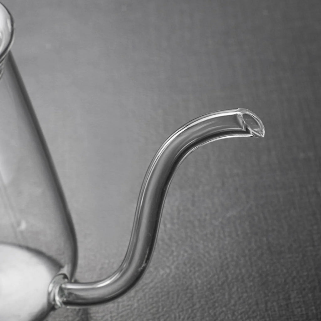 High Borosilicate Glass Gooseneck Kettle with Lid F753054
