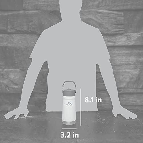 16-50 OZ Insulated Stainless Steel Water Bottle with Built-In Straw X380849