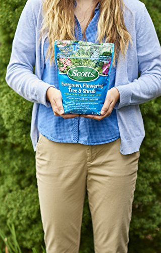 3-Pound Continuous Release Plant Food H131
