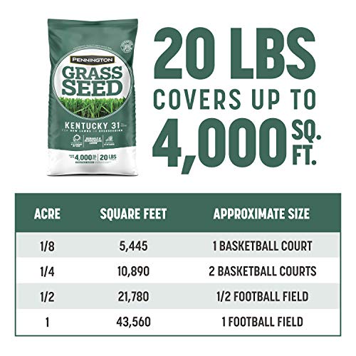 Kentucky 31 Tall Fescue Grass Seed 20 lb & Starter Lawn Fertilizer 14 LBS N843362