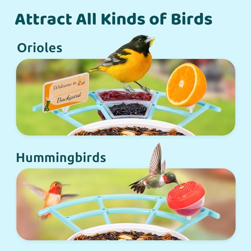 Bird Feeder with Camera Y645882