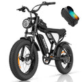 20 Fat Tire 1000W Electric Bike with 48V/20Ah Battery Z613