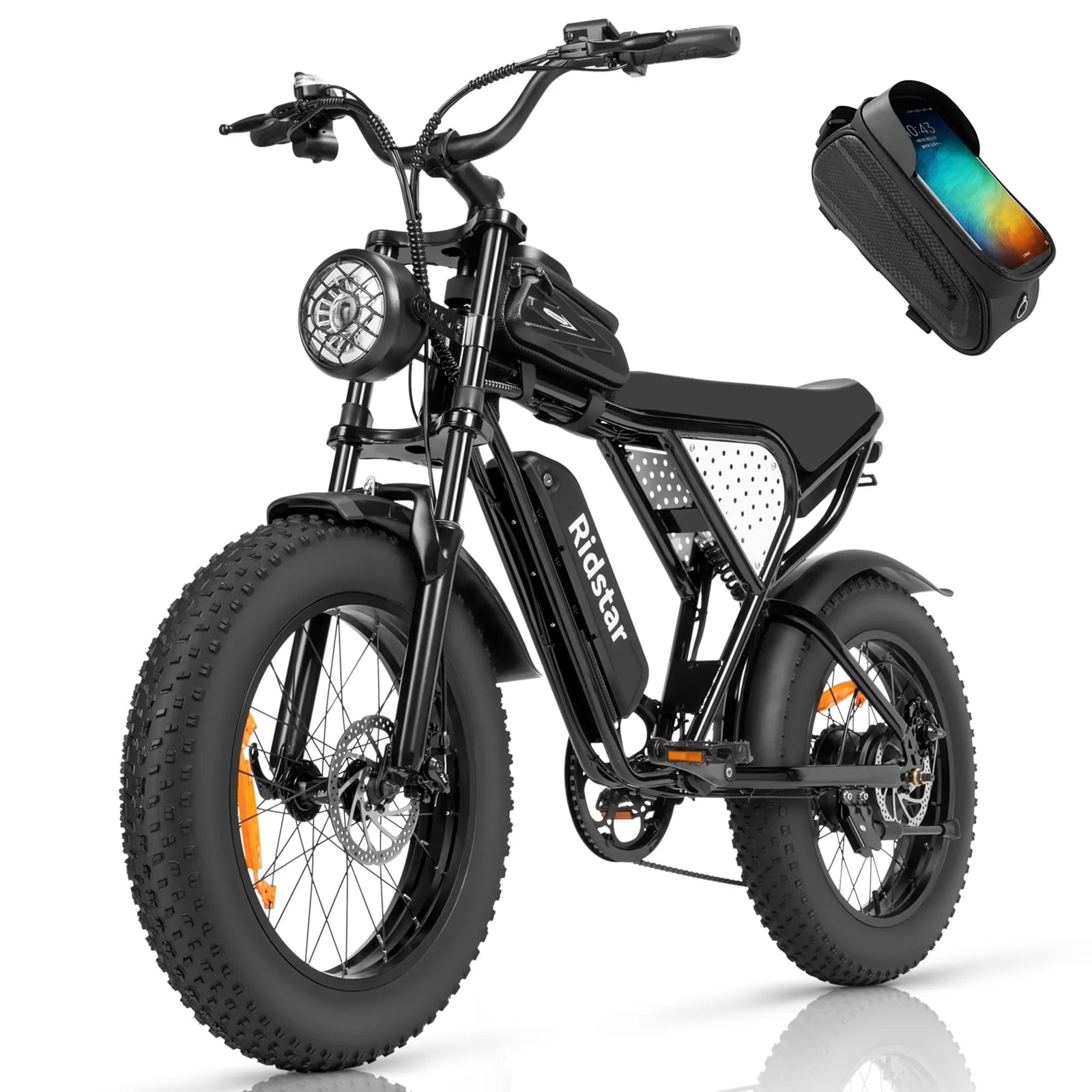 20 Fat Tire 1000W Electric Bike with 48V/20Ah Battery Z613