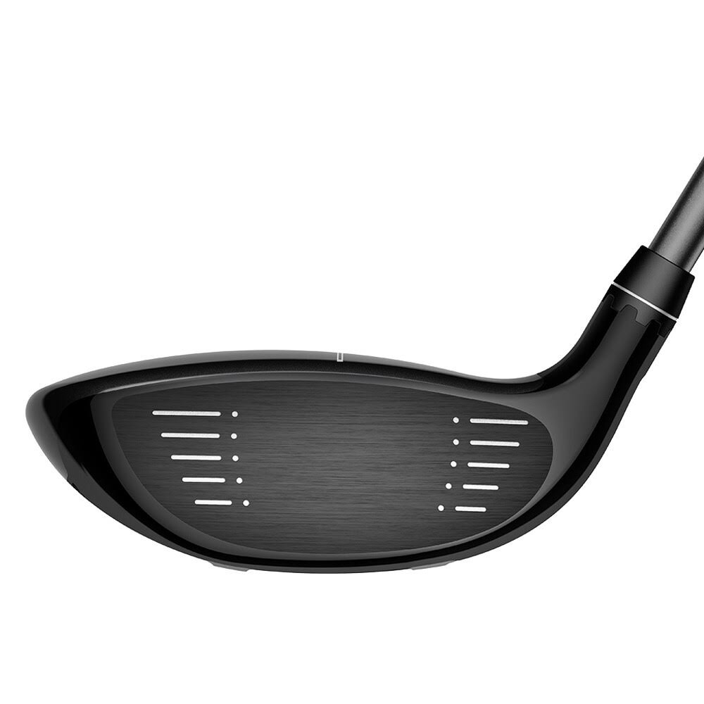 Silver Fairway Wood F98600