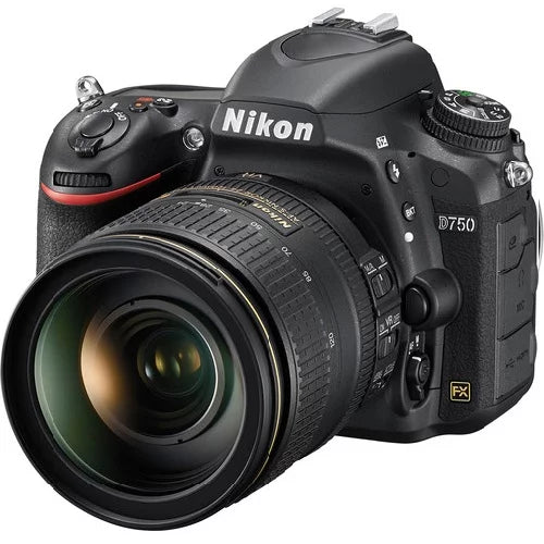 Black 24.3 MP Digital SLR Camera with 24-120mm Lens M866141