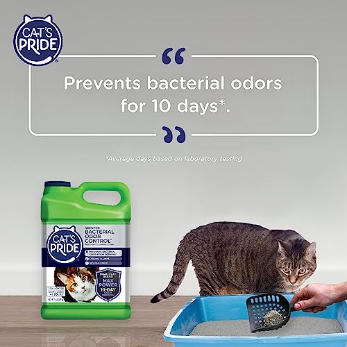 Unscented Multi-Cat Litter, 15 Pounds (Pack of 2) G327553
