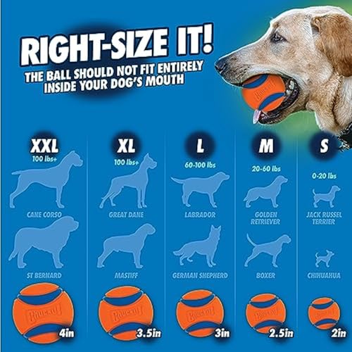 14" Dog Ball Launcher A548