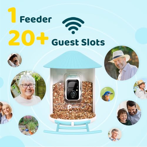 Bird Feeder with Camera Y645882
