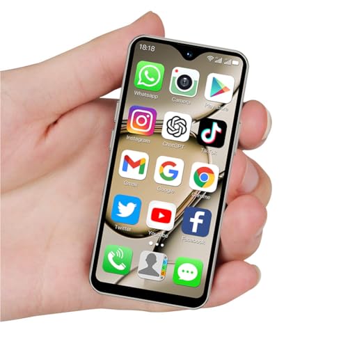 2+16GB Metallic Gray Mini 4G Smartphone I939594