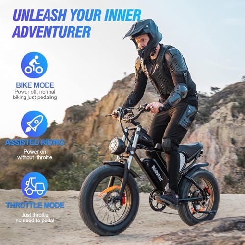 20" Fat Tire Electric Bike 1000W 48V 20AH A924460