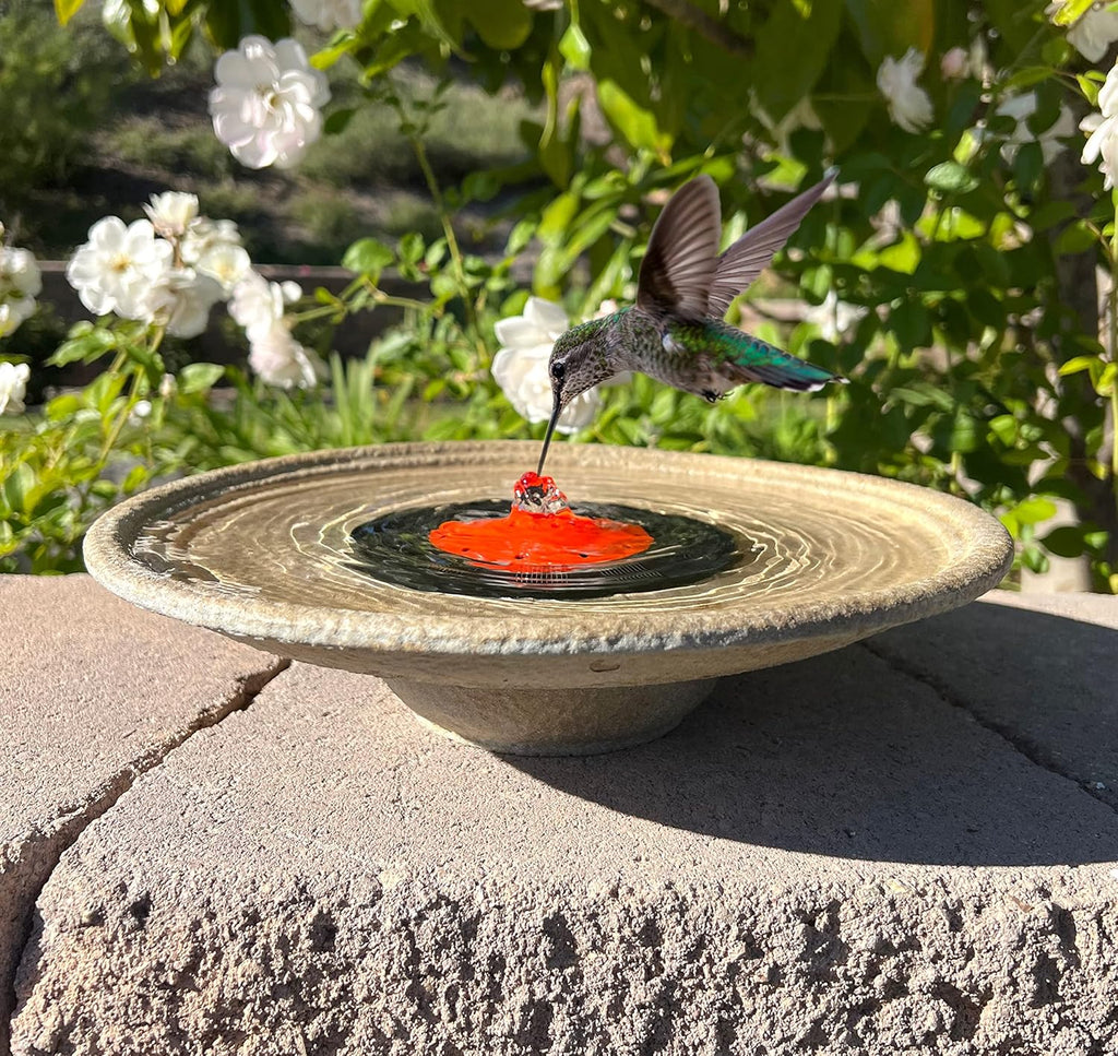 Red Dome Bird Bath Fountain Q389046