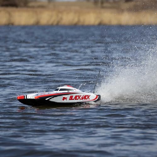 Blackjack 24" Catamaran Brushless RTR J7666