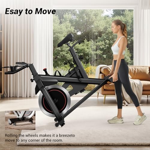 Exercise Bike with Silent Belt Drive V2057