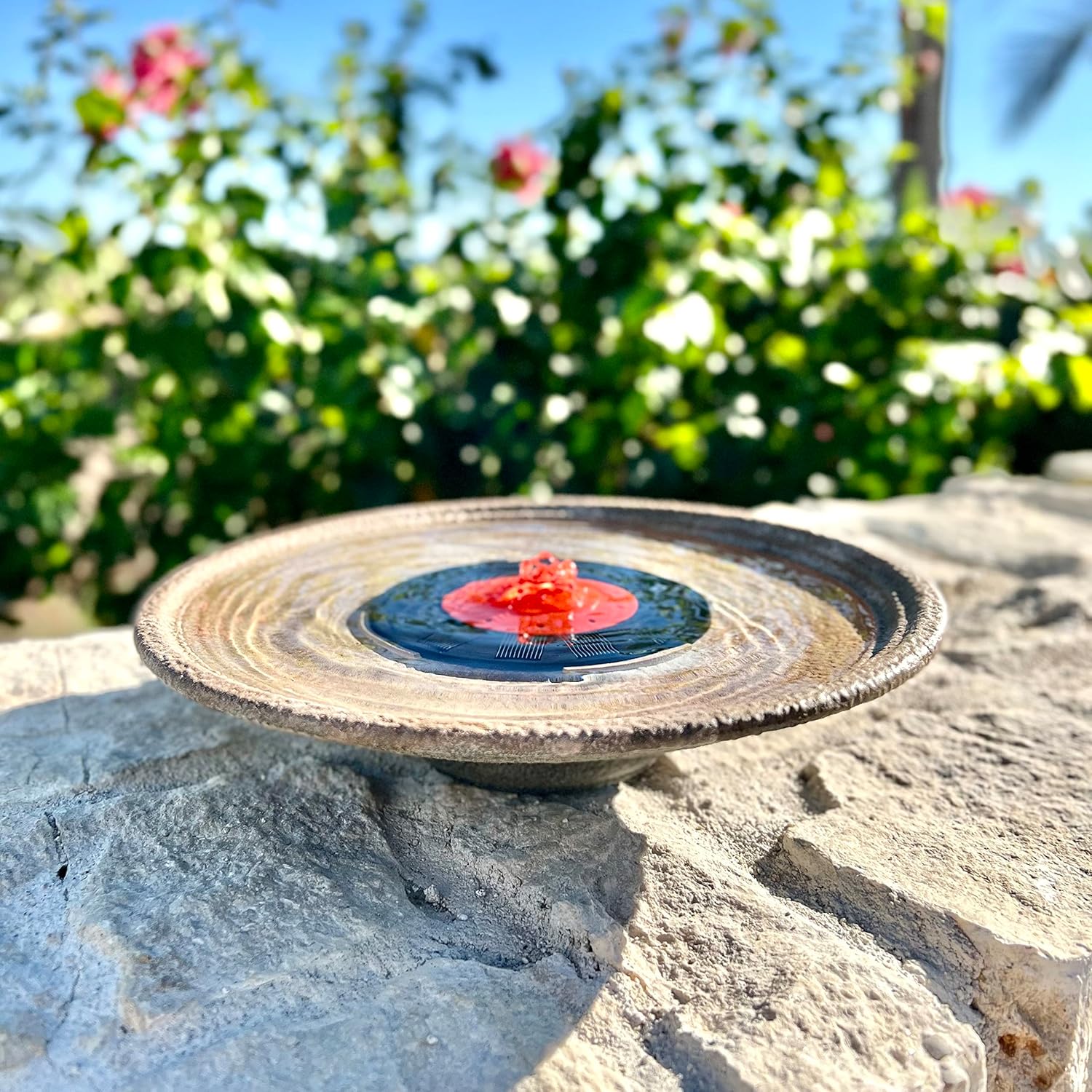 Red Dome Bird Bath Fountain Q389046