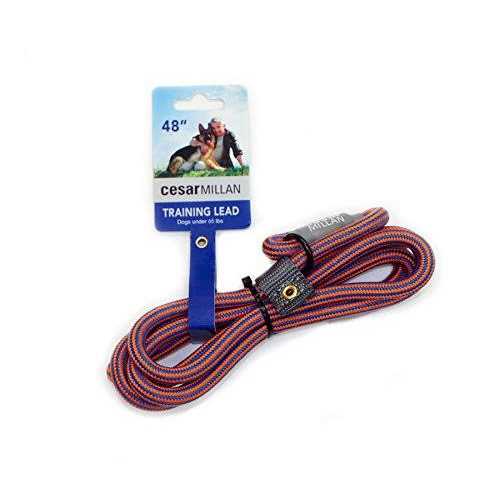 Slip Lead Leash 2-in-1 Dog Training Lead & Collar U159