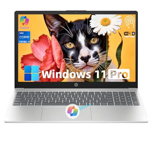 15.6" Touchscreen Business Laptop Computer Intel 13th Core i3-1315U Intel UHD Graphics Anti-Glare Windows 11 Pro 16 GB RAM 512GB SSD C213