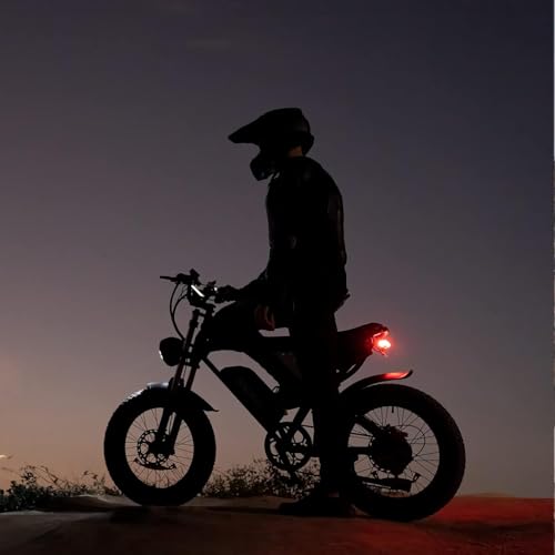 20" Fat Tire Electric Bike 1000W 48V 20AH A924460