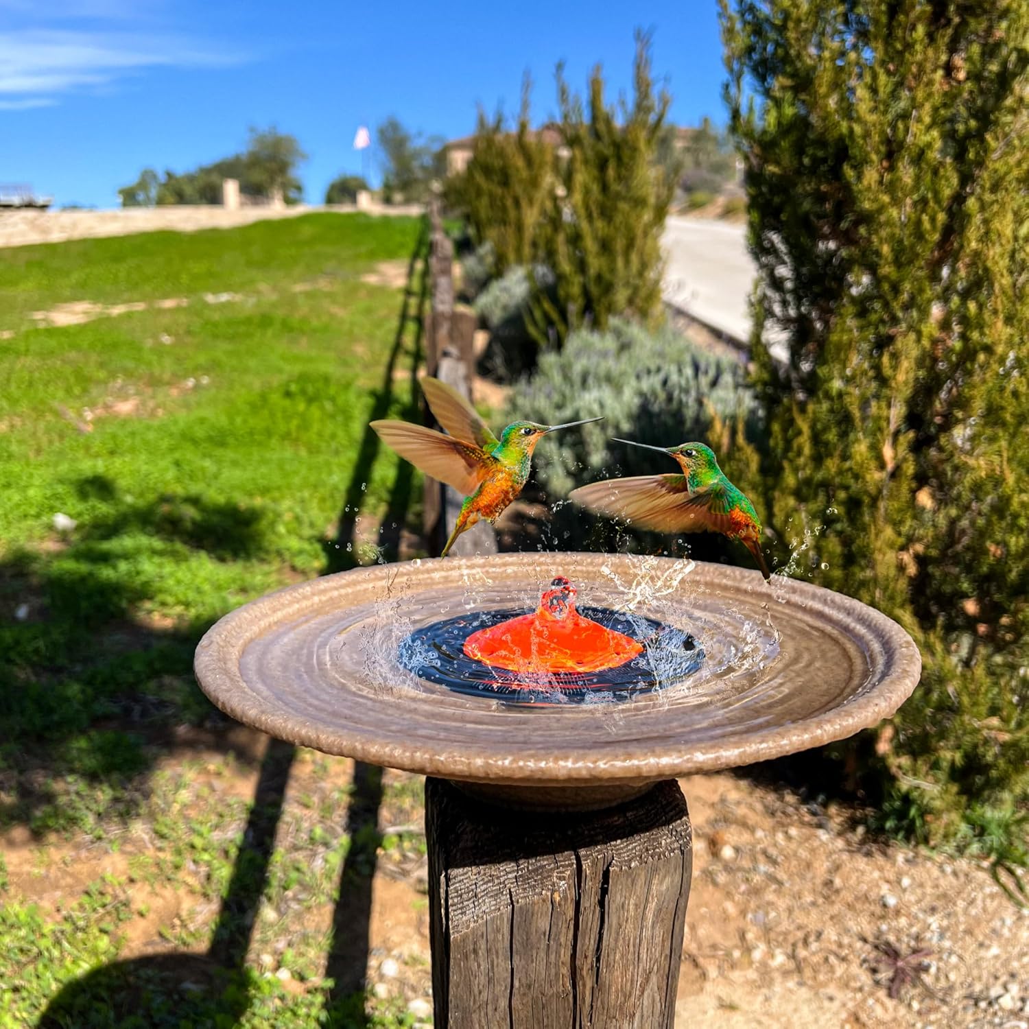 Red Dome Bird Bath Fountain Q389046