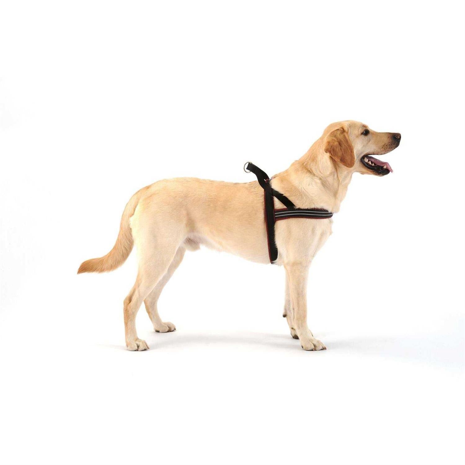 Sport Harness T81350
