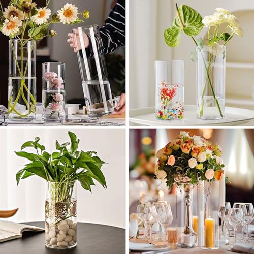 Clear Glass Cylinder Vases Set of 6 I574