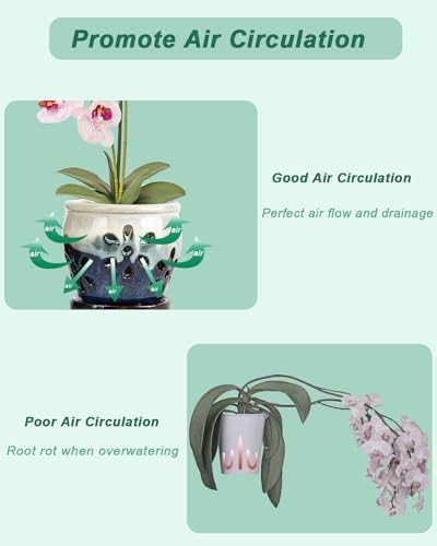 Olive Green 5 Inch Ceramic Orchid Pots with Holes and Saucers H8055